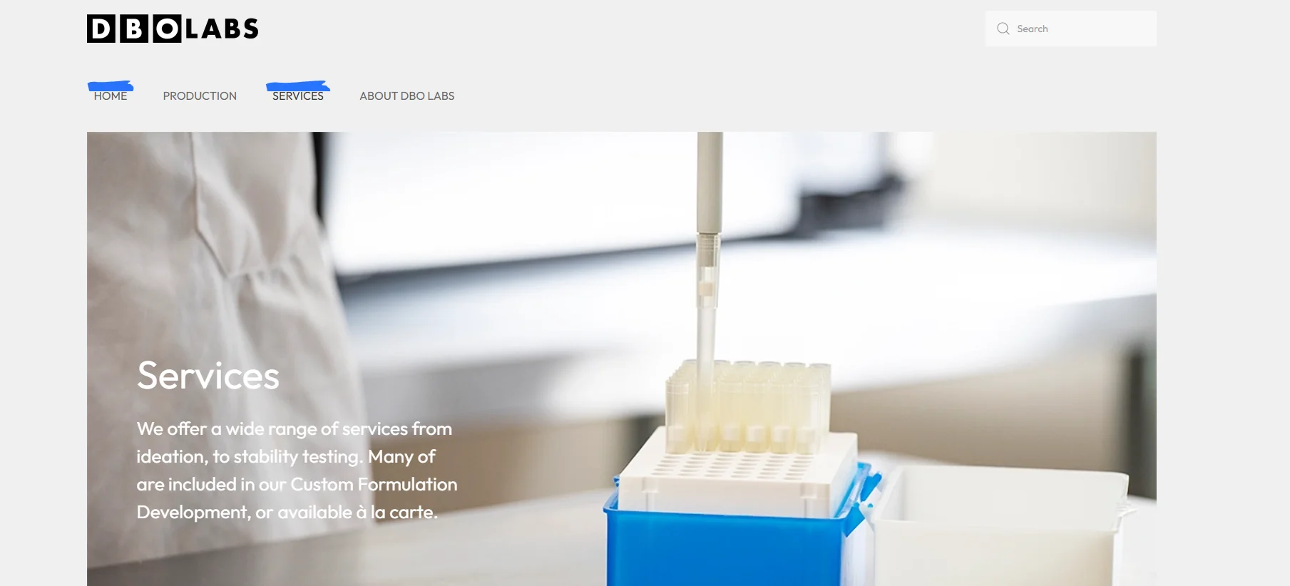 Halaman layanan situs web DBO Labs menampilkan peralatan laboratorium dengan pipet dan tabung reaksi, serta menyoroti layanan yang ditawarkan.